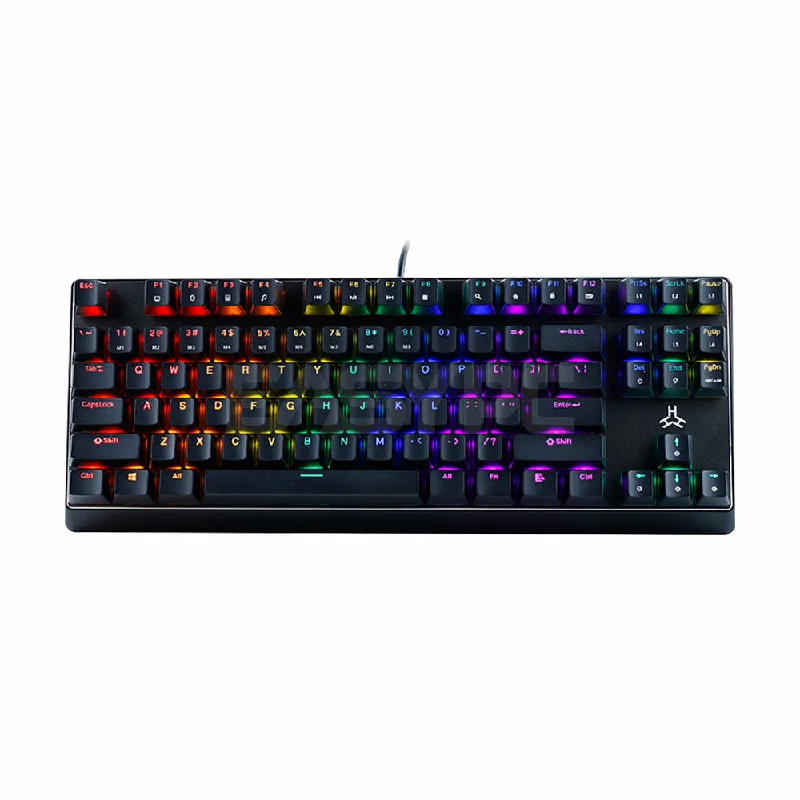 RAKK TANDUS V2 87 Keys Wired Gaming Keyboard/Seamless Doubleshot Keycaps/Rainbow LED/Outemu Blue