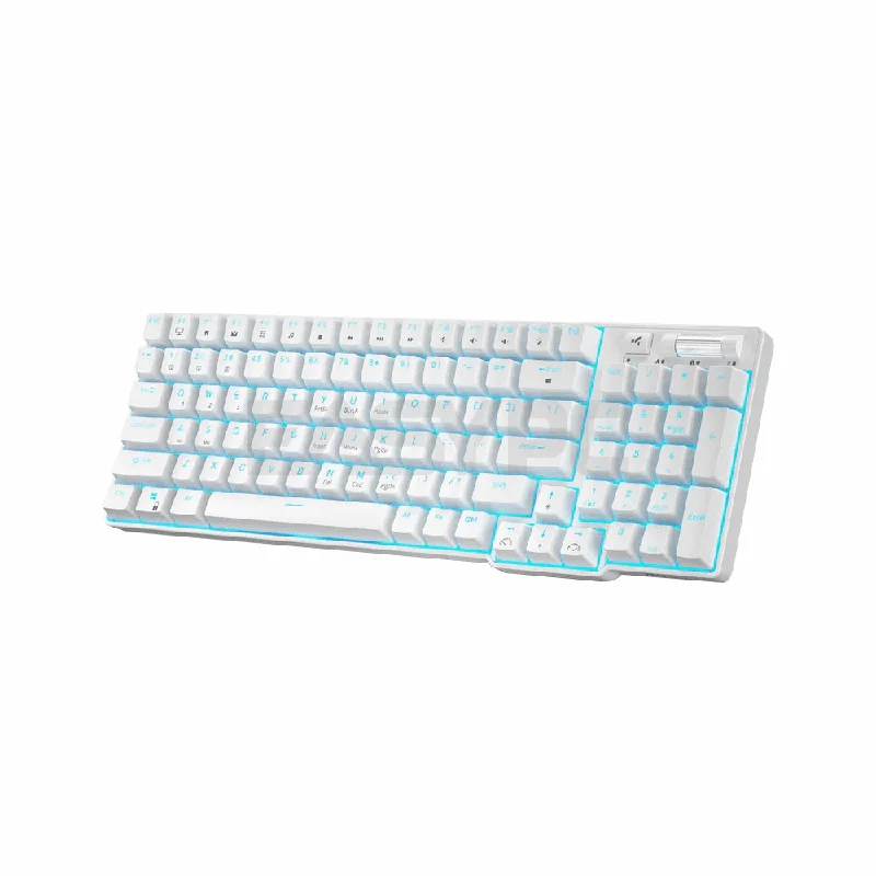 Royal Kludge RK96 Trimode Brown switch Mechanical Keyboard White